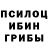 Галлюциногенные грибы Magic Shrooms Sleep Scars