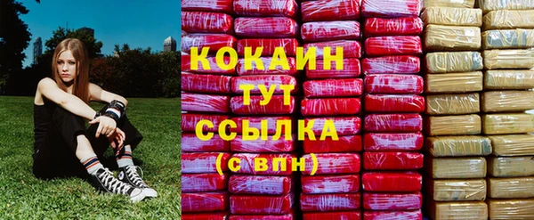 тгк Новодвинск